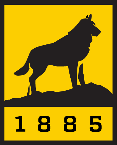 Another Company Logo
